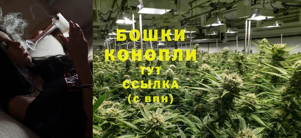 PSILOCYBIN Краснослободск
