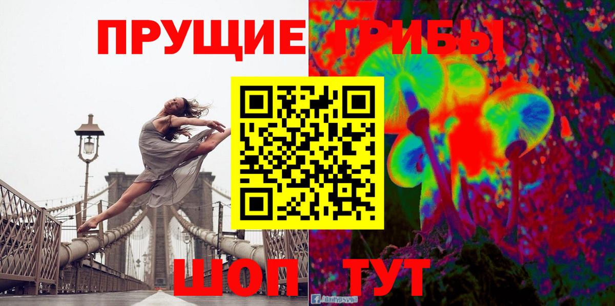 Галлюциногенные грибы Psilocybine cubensis Новороссийск