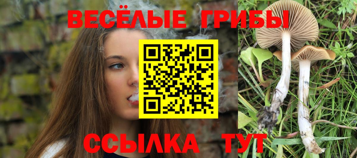 Псилоцибиновые грибы Psilocybine cubensis  наркота  Новороссийск  Вход с VPN 