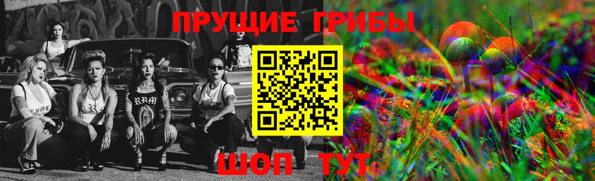 Галлюциногенные грибы GOLDEN TEACHER  Вход с VPN  Новороссийск 