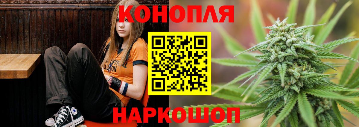 Бошки марихуана White Widow Новороссийск